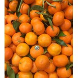 Clémentine feuilles