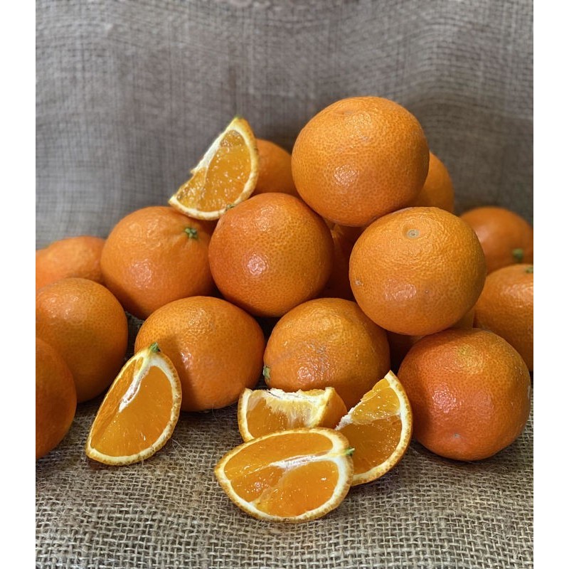 Clémentine Paradisio