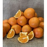 Clémentine Paradisio