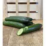 Concombre