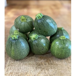 Courgette Ronde