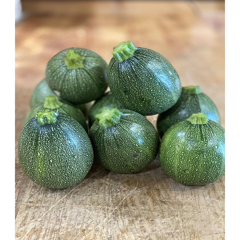 Courgette Ronde