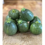 Courgette Ronde