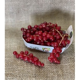 Groseille 125 g