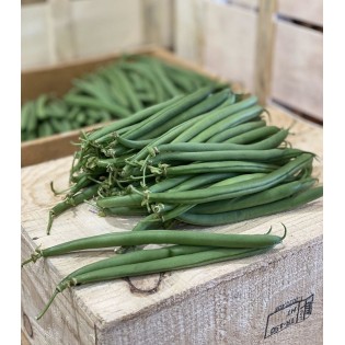 Haricot Vert