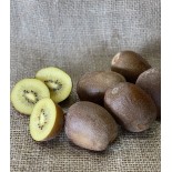 Kiwi Jaune