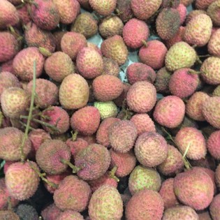 Litchi