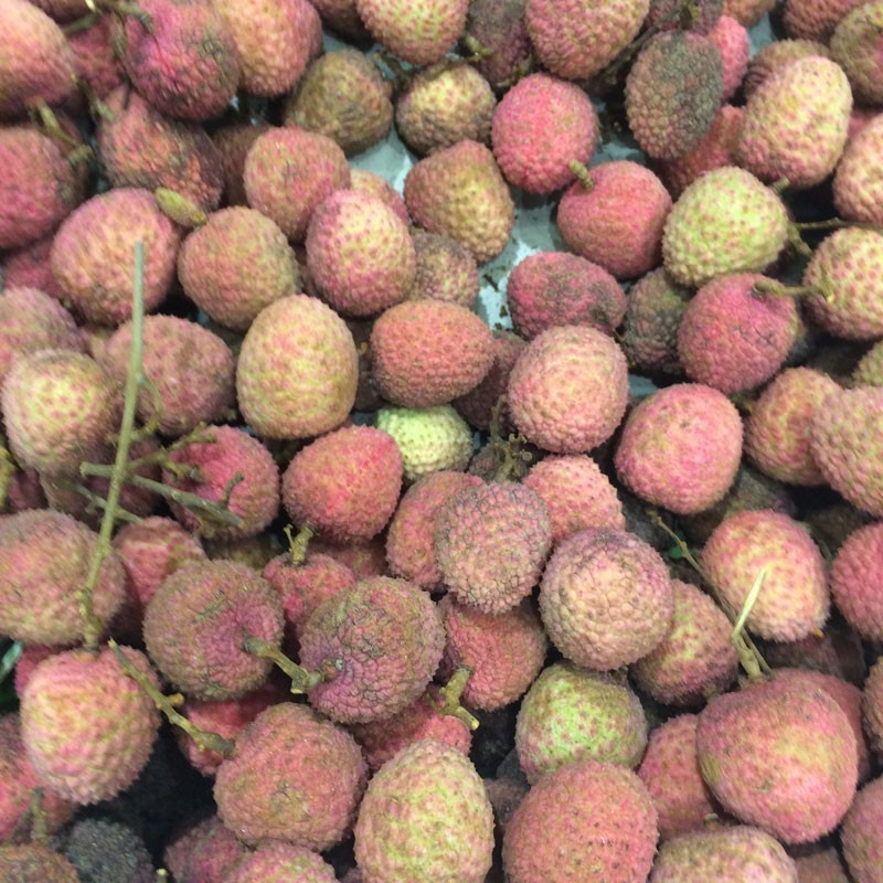 Litchi