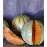 Melon