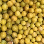 Mirabelle
