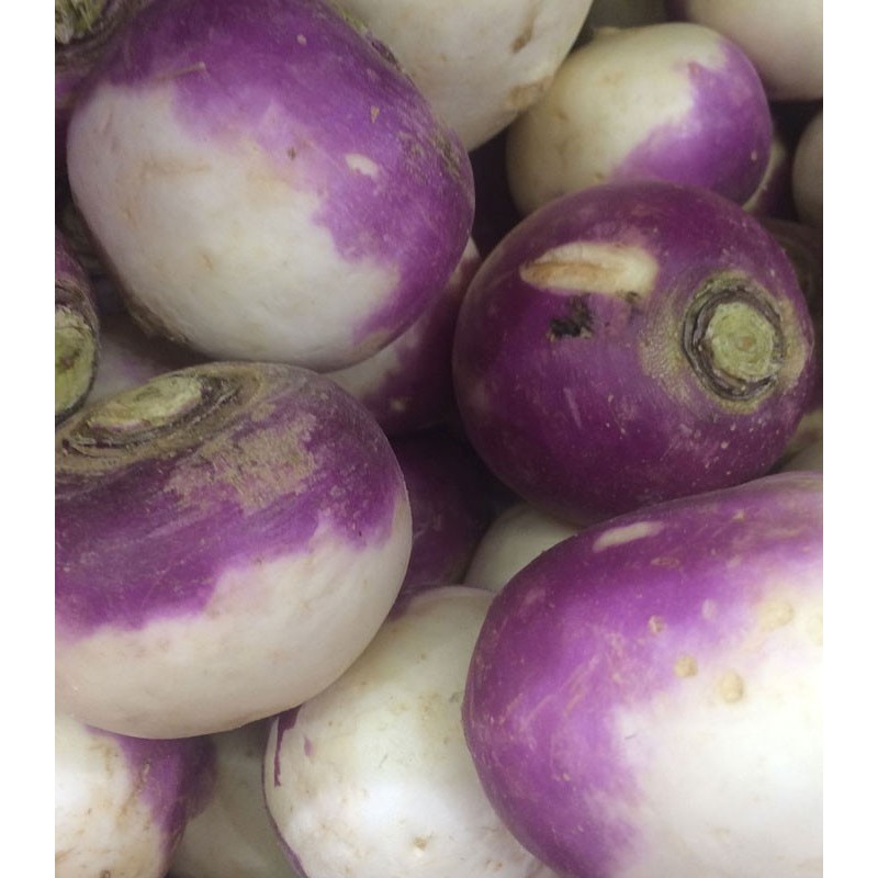 Navet Rave Violette