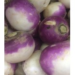 Navet Rave Violette