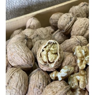 Noix