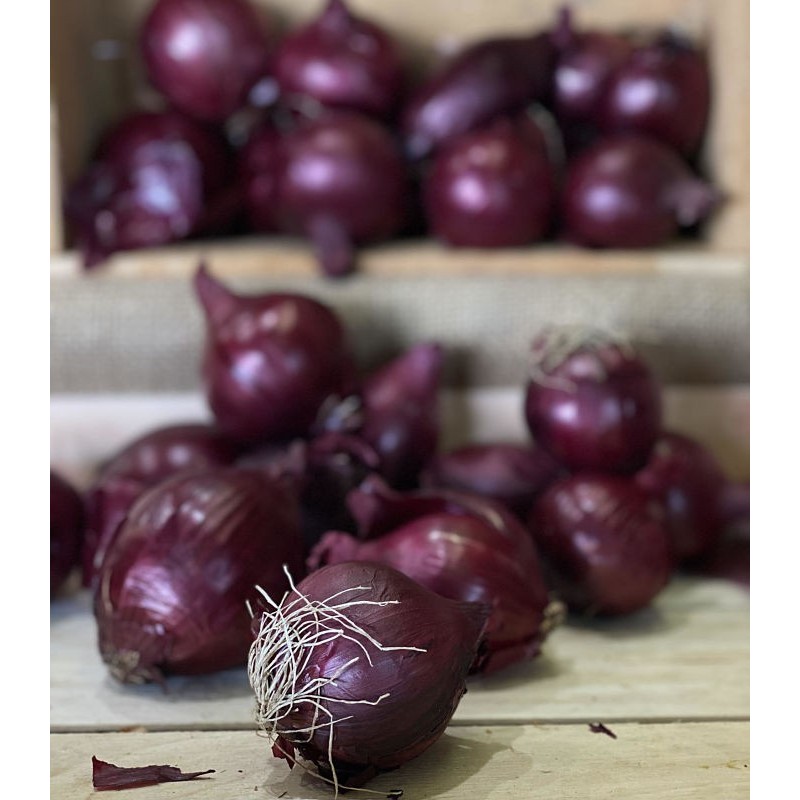 Oignon Rouge