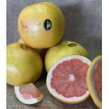 Pamplemousse Jackson