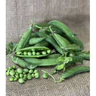 Petit Pois