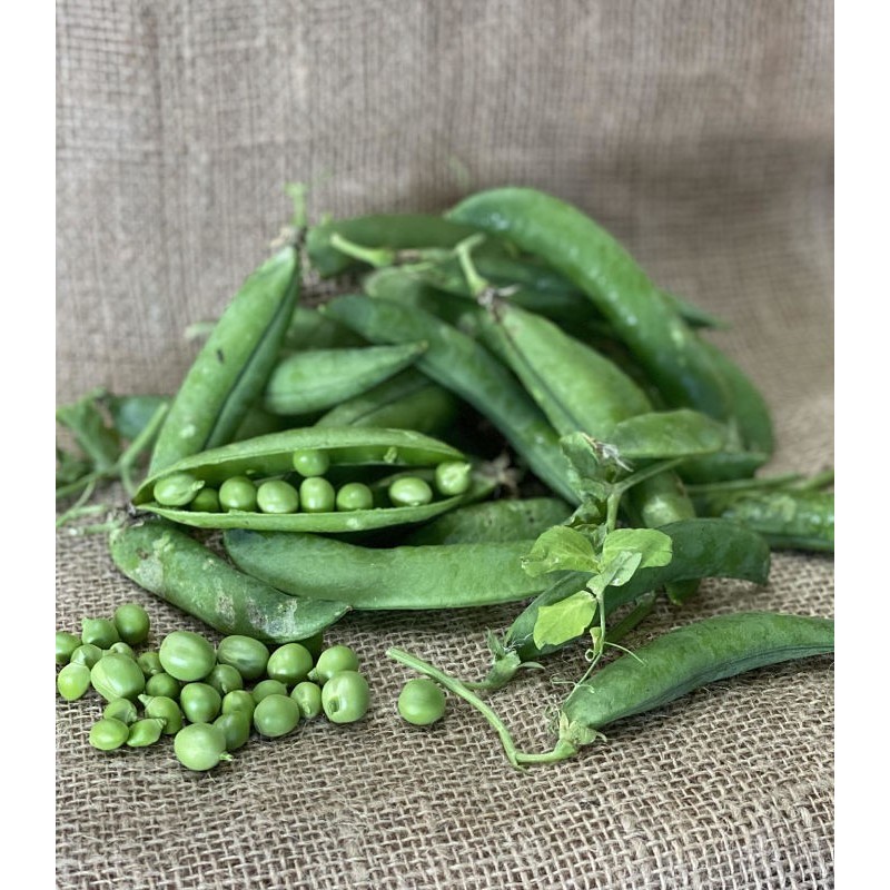 Petit Pois