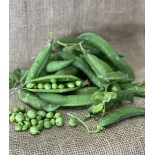 Petit Pois