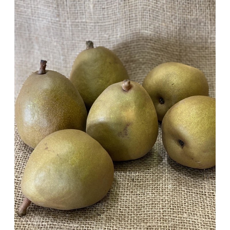 Poire Célina