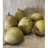 Poire Célina