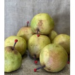 Poire Passe Crassane