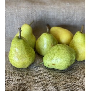 Poire Williams