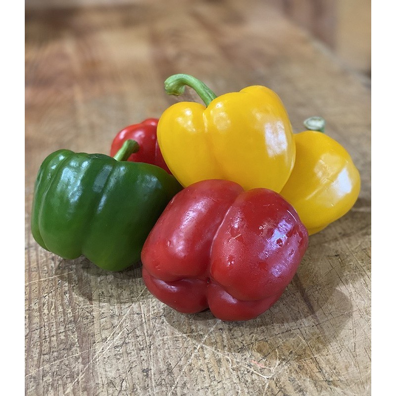 Poivron Rouge / Vert / Jaune