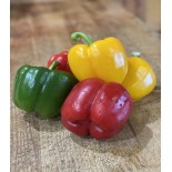 Poivron Rouge / Vert / Jaune