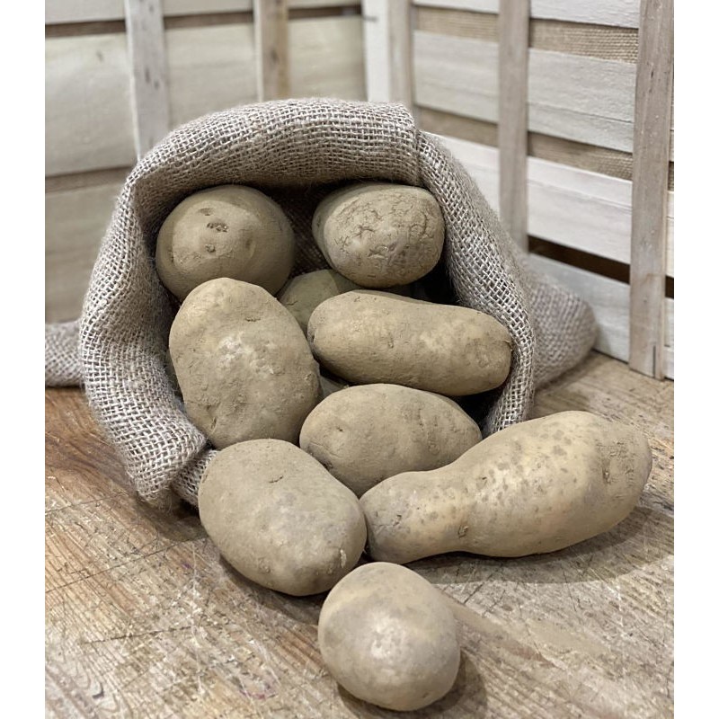 Pomme de Terre Bintje (Purée, Potage, ....)