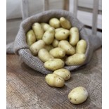 Pomme de Terre Grenaille