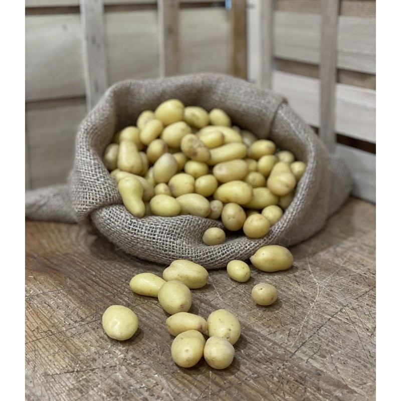 Pomme de terre Nouvelle