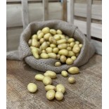 Pomme de terre Nouvelle