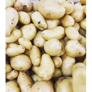 Pomme de Terre à chair ferme (Type Charlotte, Amandine)