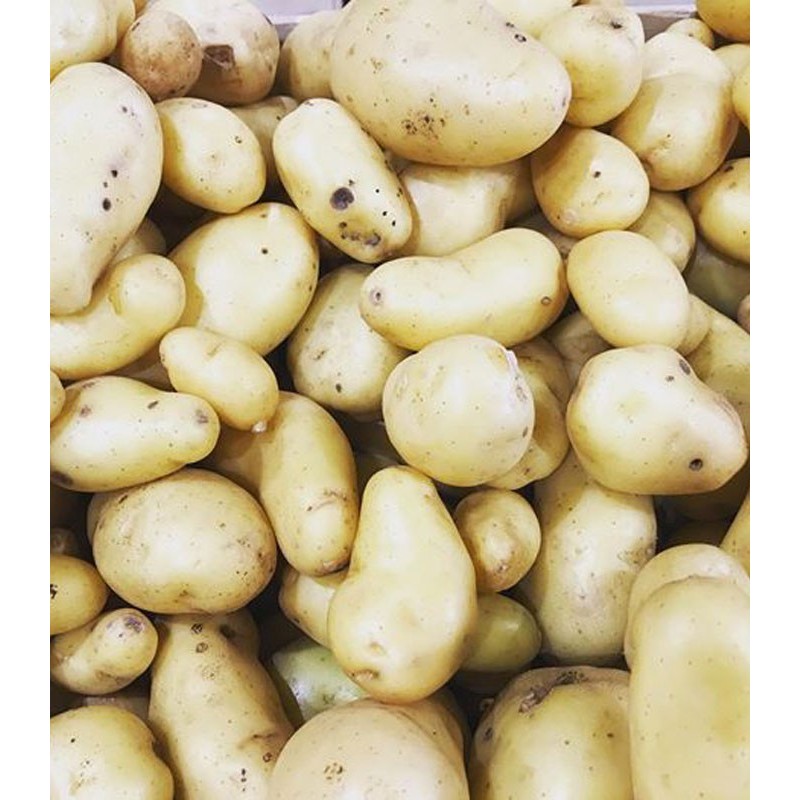 Pomme de Terre à chair ferme (Type Charlotte, Amandine)