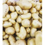 Pomme de Terre à chair ferme (Type Charlotte, Amandine)