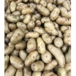 Pomme de terre Ratte