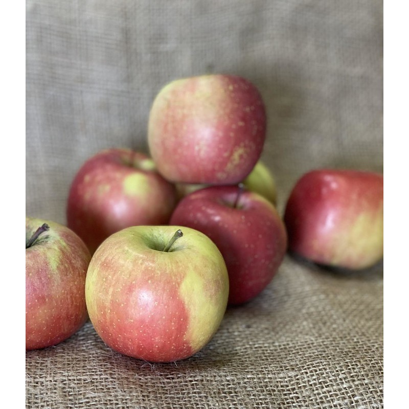 Pomme Fuji