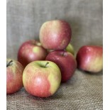 Pomme Fuji