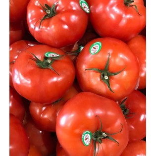 Tomate à Farcir