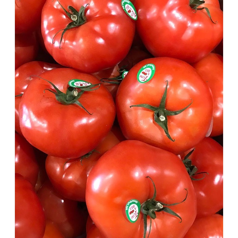 Tomate à Farcir
