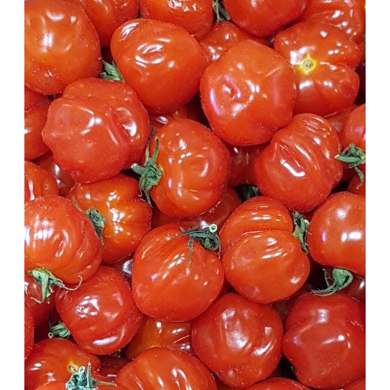 Tomate Cerise