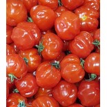 Tomate Cerise