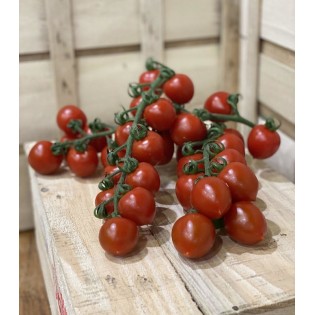 Tomate Cerise Grappe