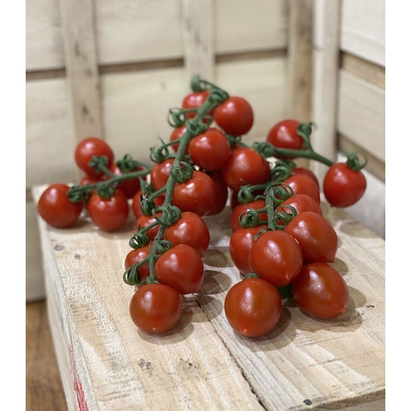 Tomate Cerise Grappe