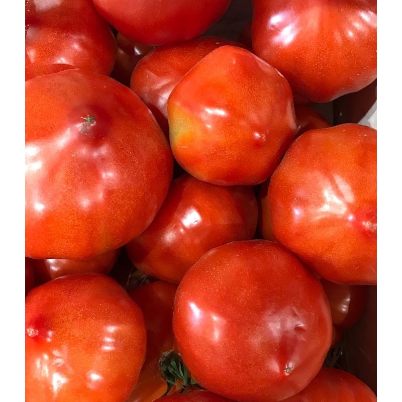 Tomate Coeur de Boeuf