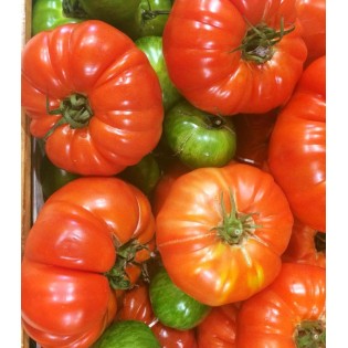 Tomate Couleur