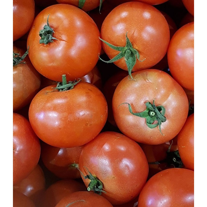 Tomate Ronde