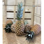 Ananas Pain de sucre