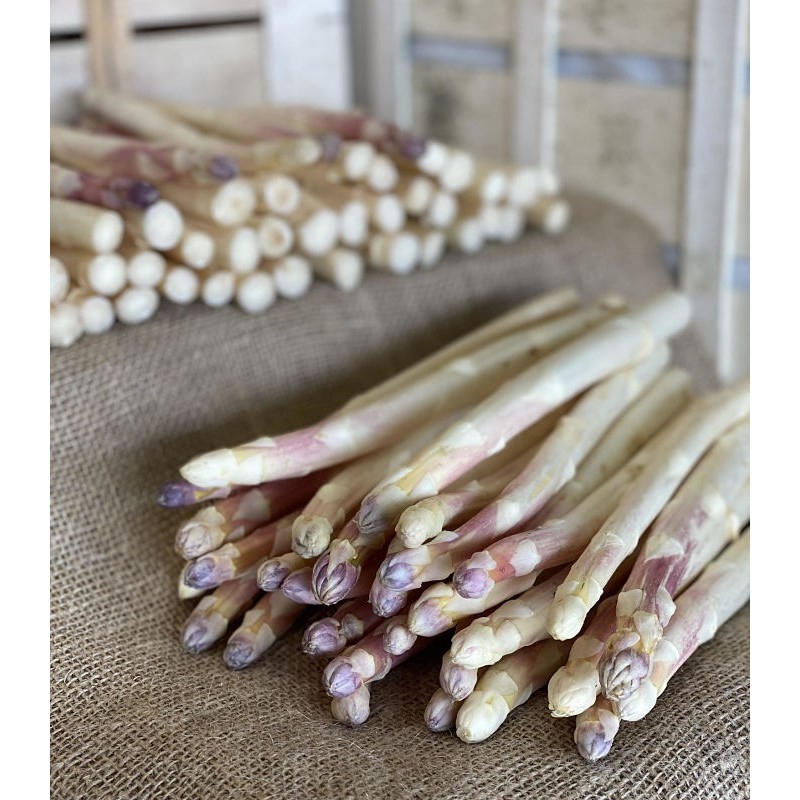 Asperge blanche