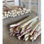 Asperge blanche